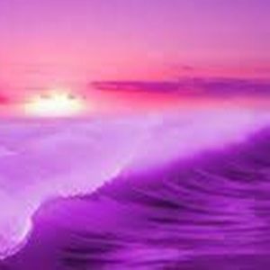 Meet your Posher, Joelynn